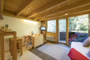 Résidence Grand Roc - Ancolies 104 - Happy Rentals